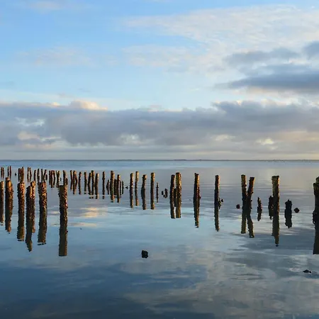 Amazing In With Wifi Romo