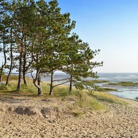 Amazing In With Wifi